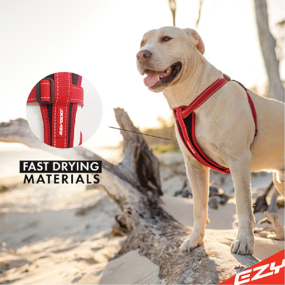 Chestplate Dog Harness - Image 9