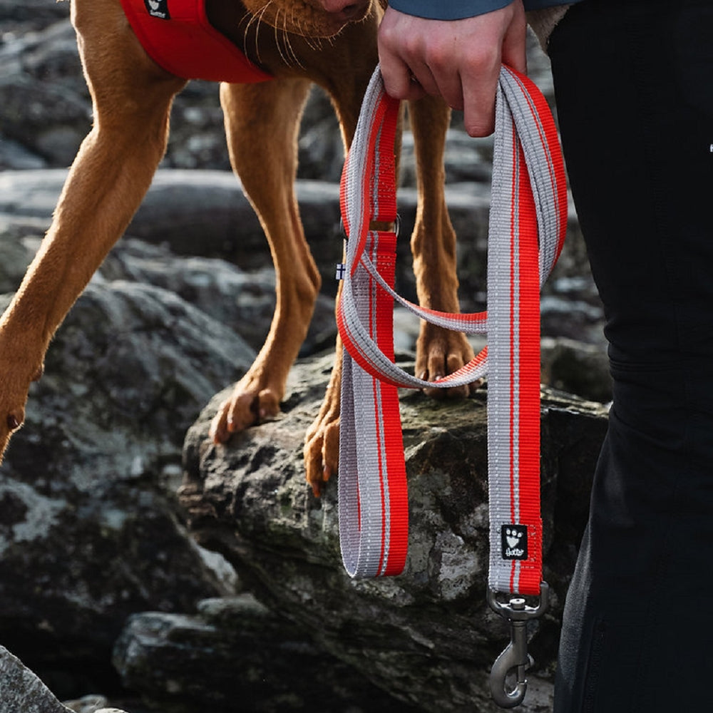 Weekend Warrior Dog ECO Leash - Image 4