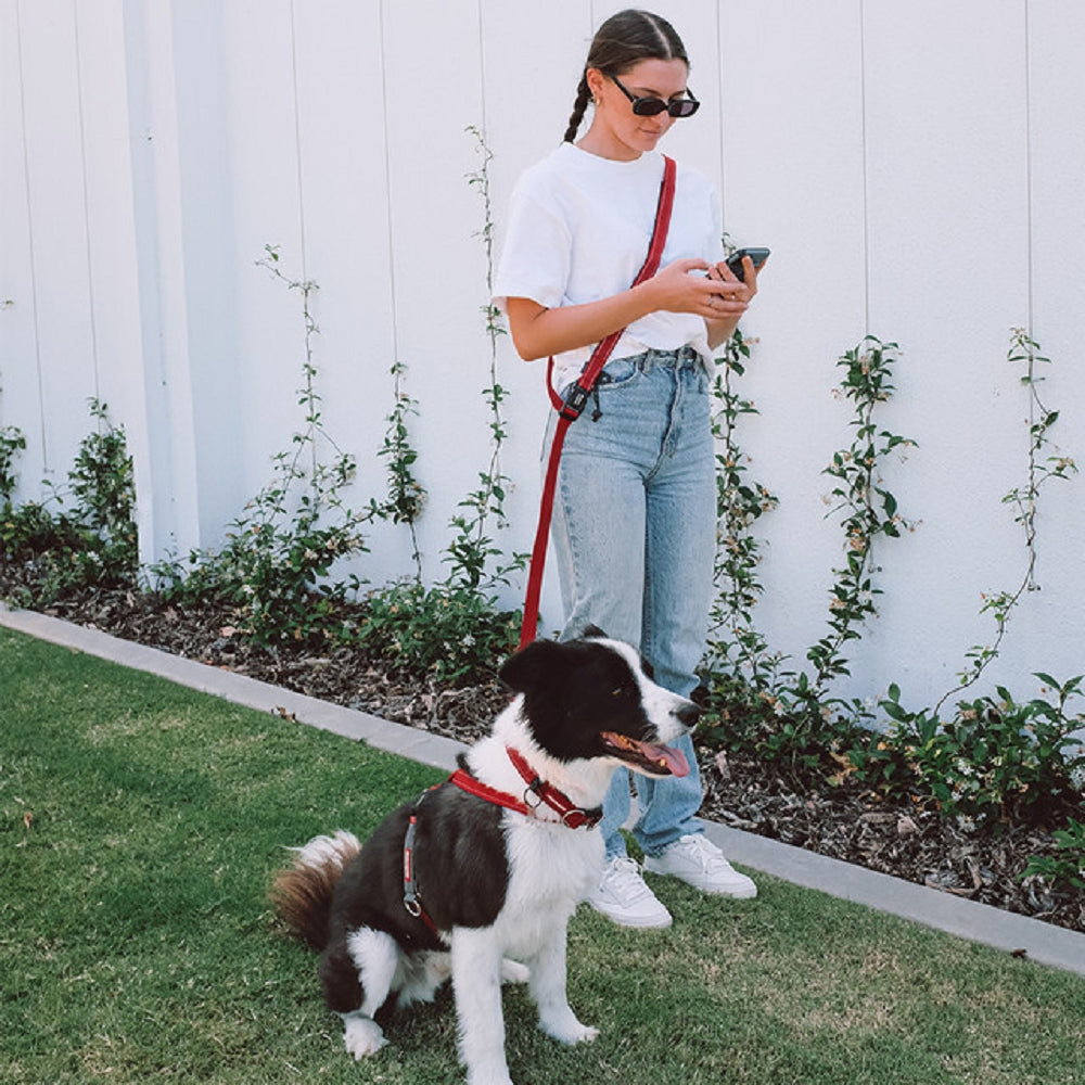 Road Runner Dog Leash - Image 7