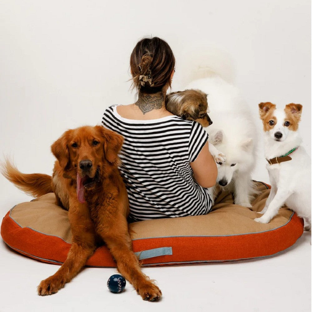 Wild West Duo Duo Bed - Image 10