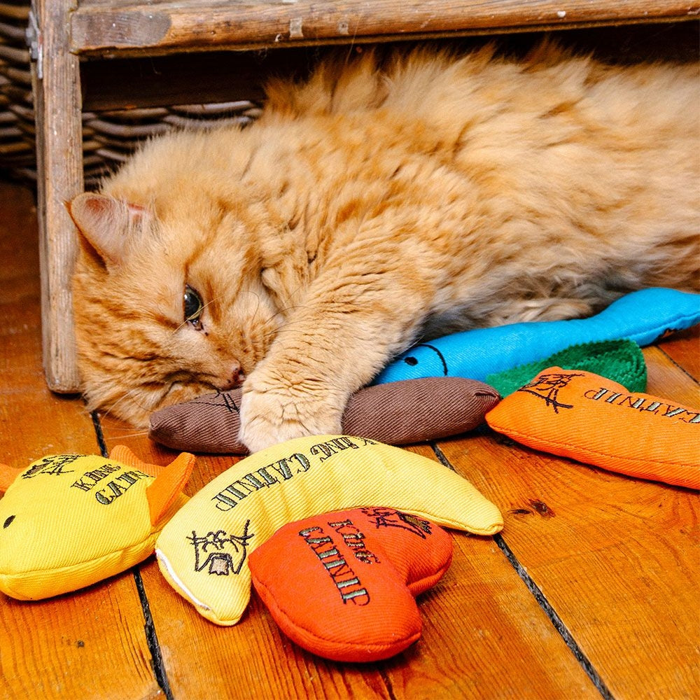 Banana Catnip Toy - Image 3
