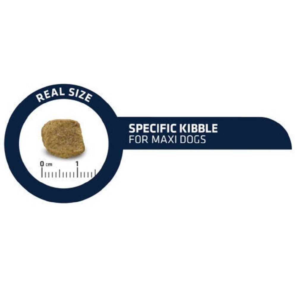 Active Defense - Chicken & Rice for Large Senior Vitality Dog Dry Food - Image 4