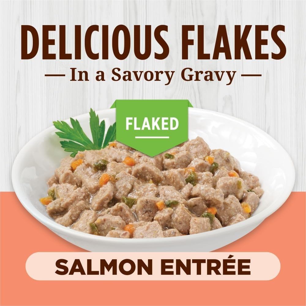 All Life Stages Grain-Free Flaked Salmon Entree Cat Can - Image 3