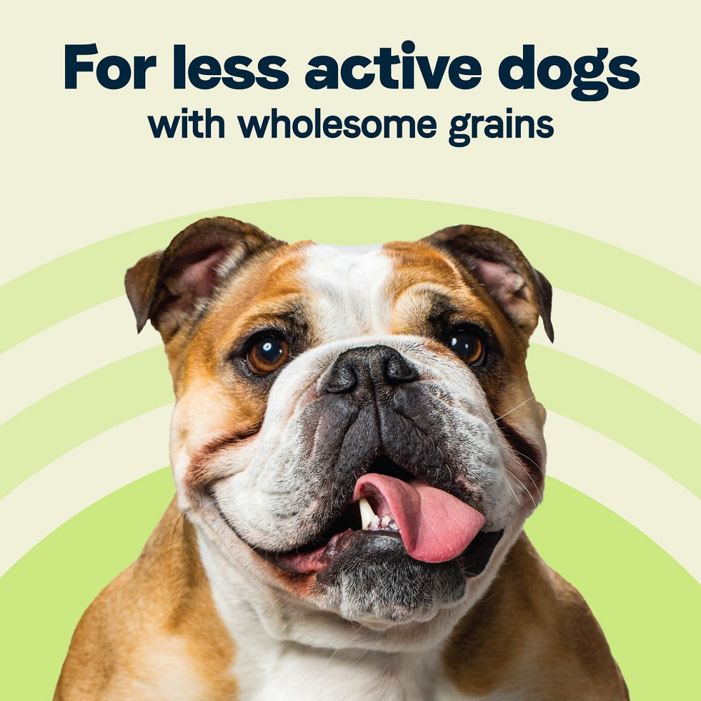 All Life Stages Less Active Formula Dog Dry Food - Chicken, Turkey & Lamb Meals - Image 3