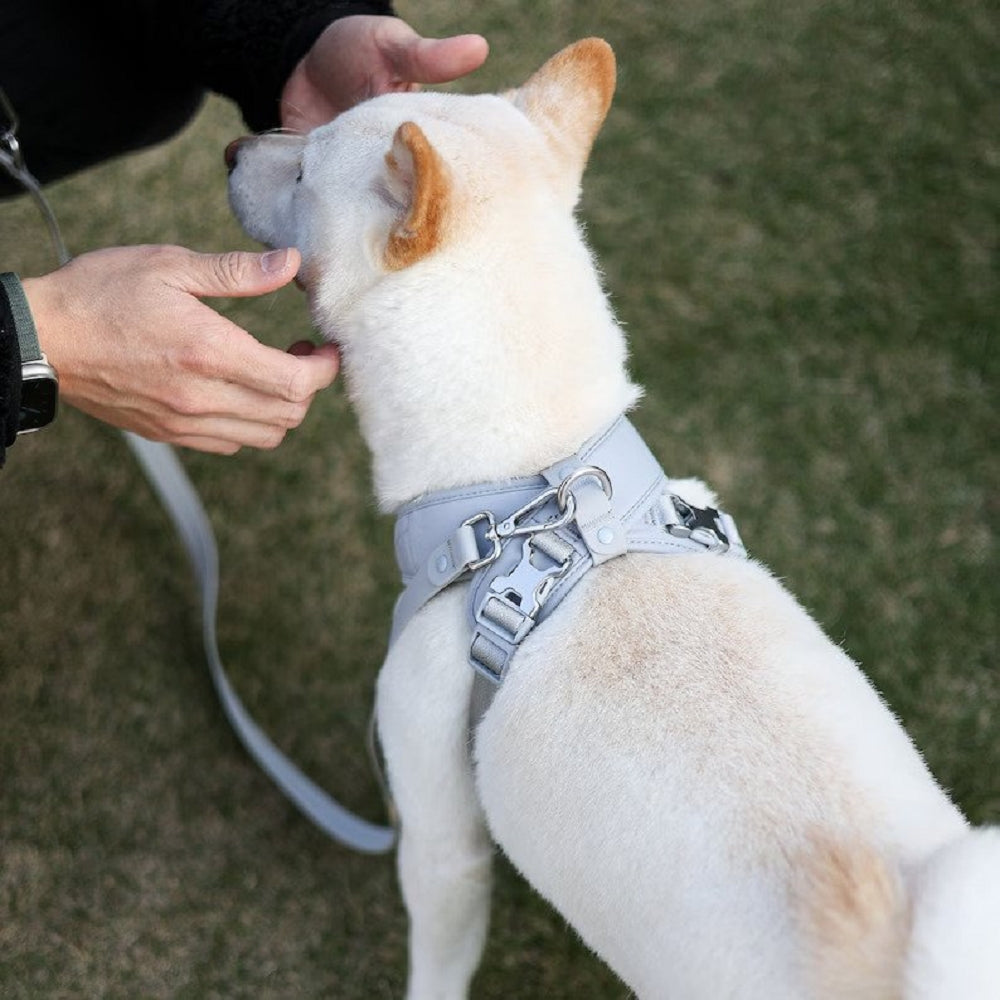 Pups & Bubs - Roam Harness - Image 7