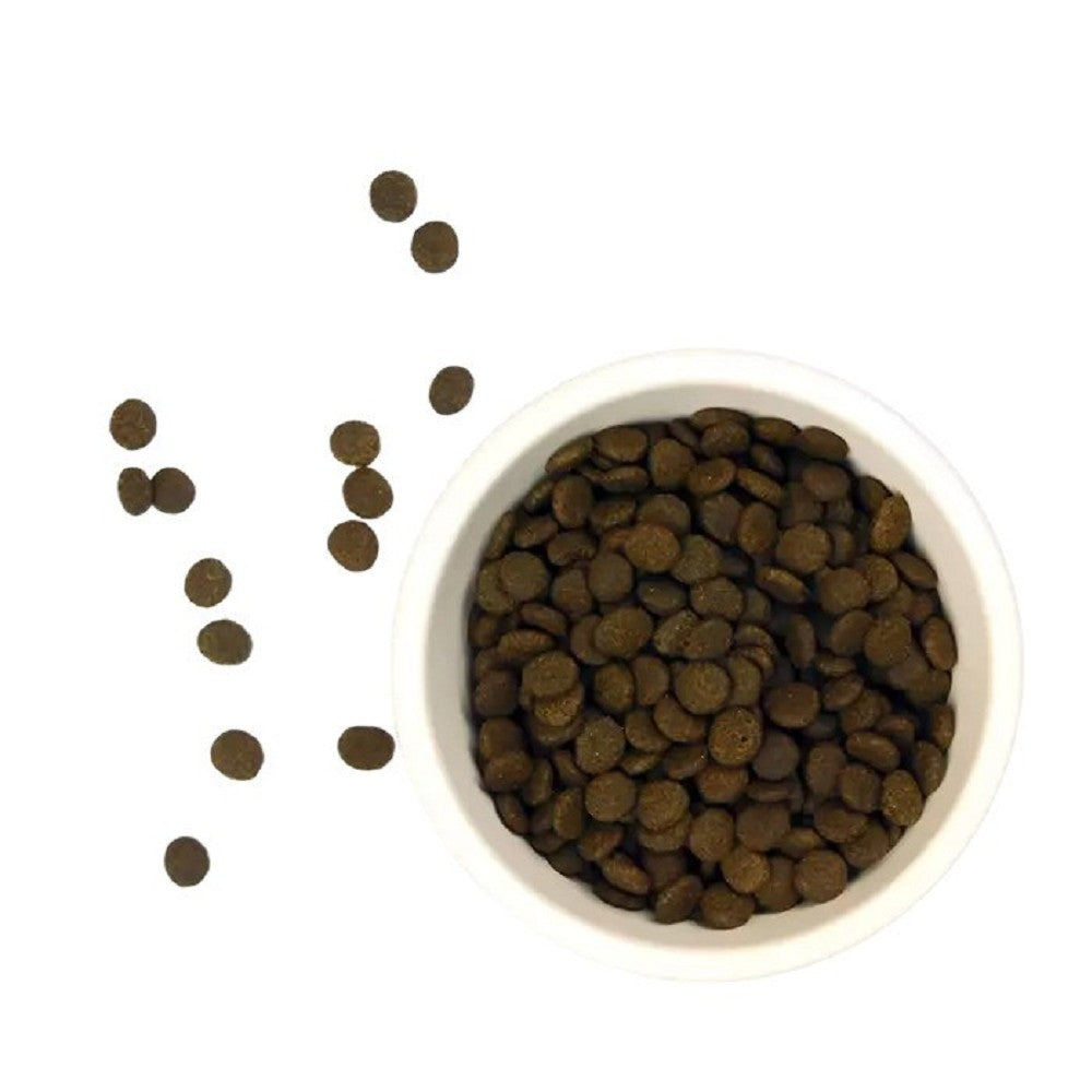 Salmon Cat Dry Food - Image 2