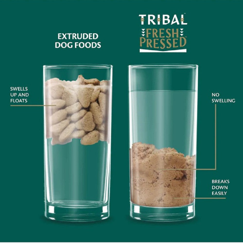 Cold Pressed Tukey Adult Dog Dry Food - Image 4