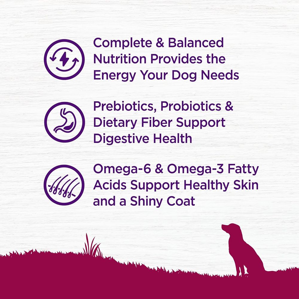 Complete Health Turkey & Oatmeal Small Breed Adult Dog Dry Food - Image 5