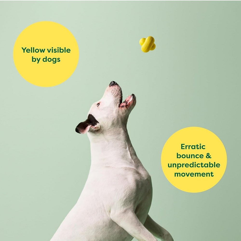 Natural Rubber Dog Fetch Toy - Image 5