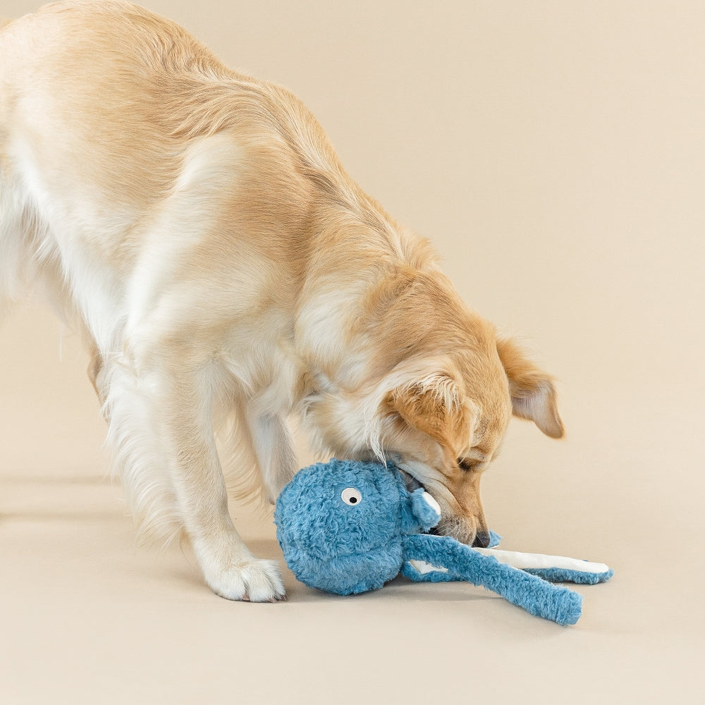 Earth Friendly Long Time No Sea Dog Plush Toy - Image 3