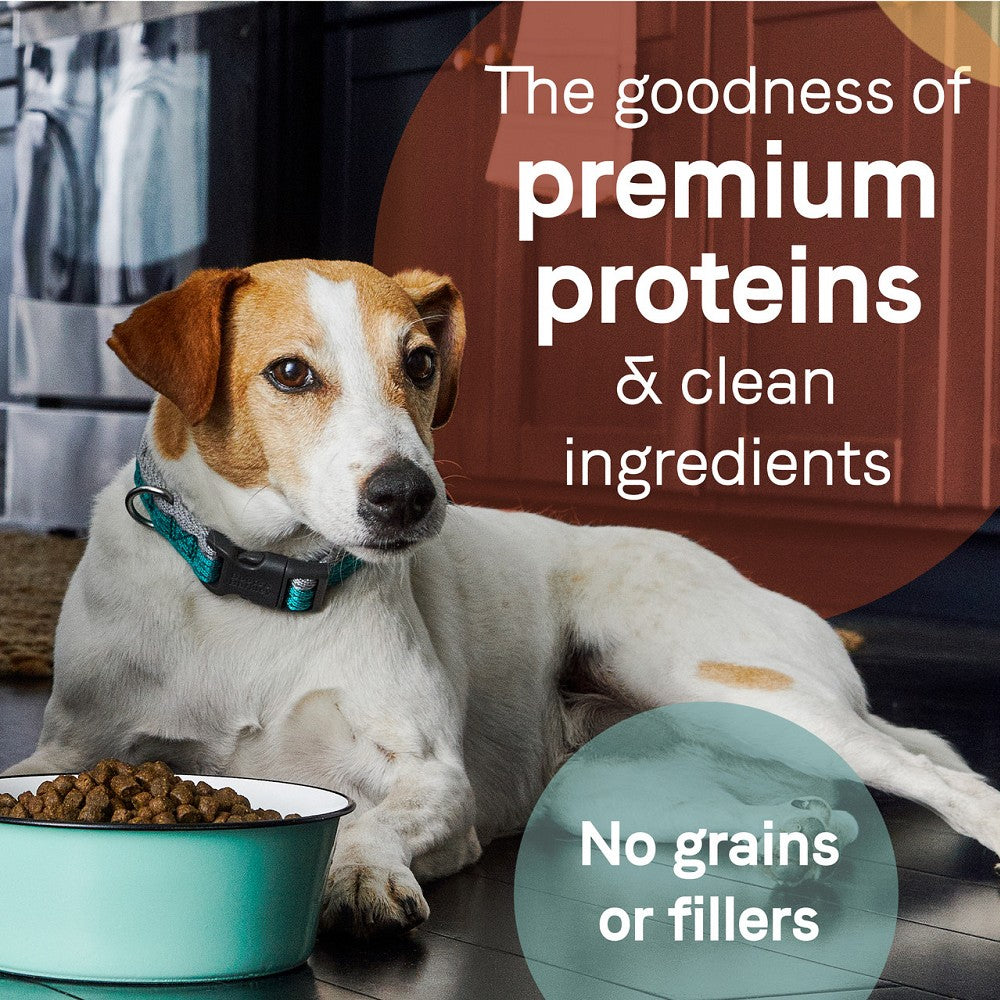 PURE Grain Free Dog Dry Food - Salmon & Sweet Potato - Image 6