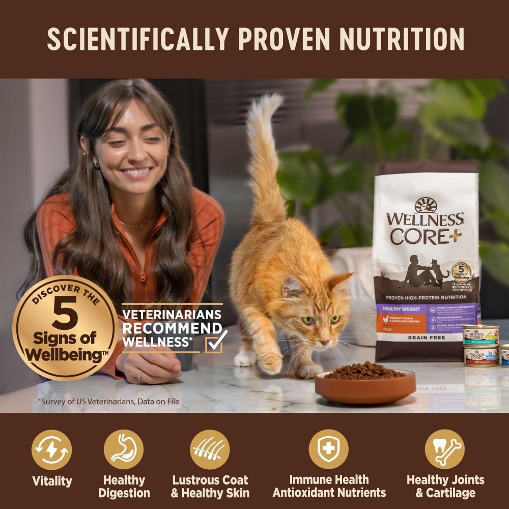 CORE Indoor Salmon & Herring Adult Cat Dry Food - Image 5