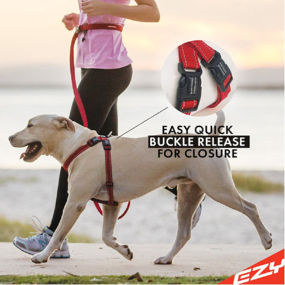 Chestplate Dog Harness - Image 10