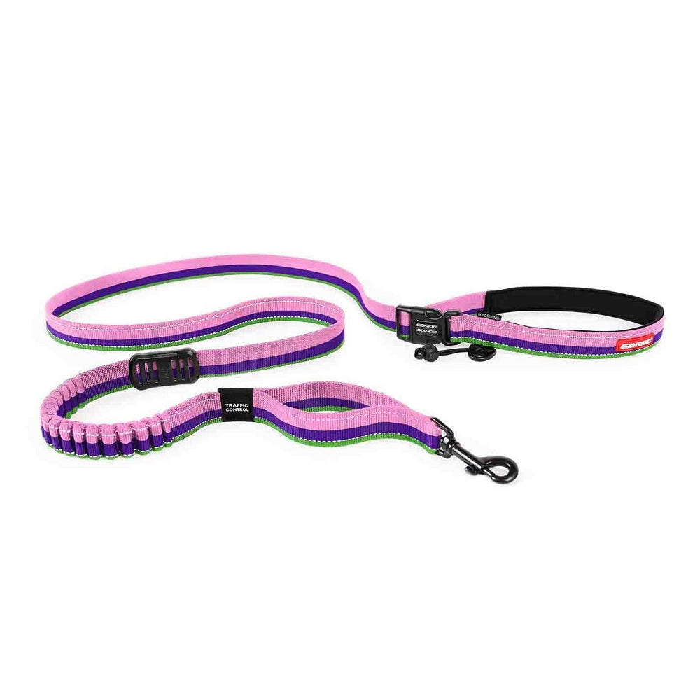 Road Runner Dog Leash - Image 16