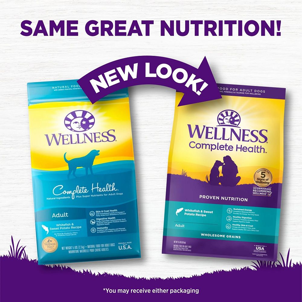 Complete Health Whitefish & Sweet Potato Adult Dog Dry Food - Image 6