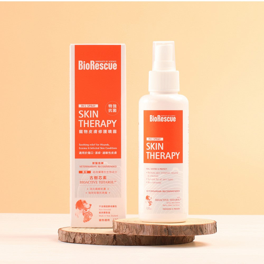 Skin Therapy for Dogs & Cats - Image 2