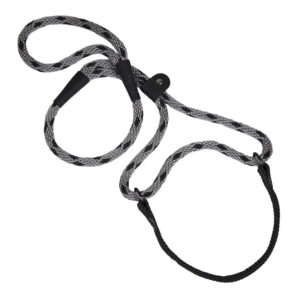 Walker Dog Leash