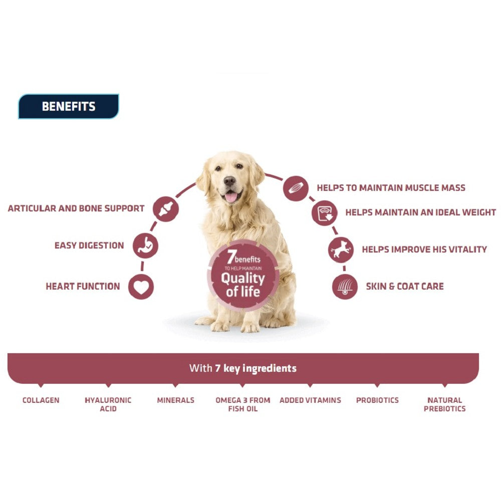 Active Defense - Chicken & Rice for Large Senior Vitality Dog Dry Food - Image 2