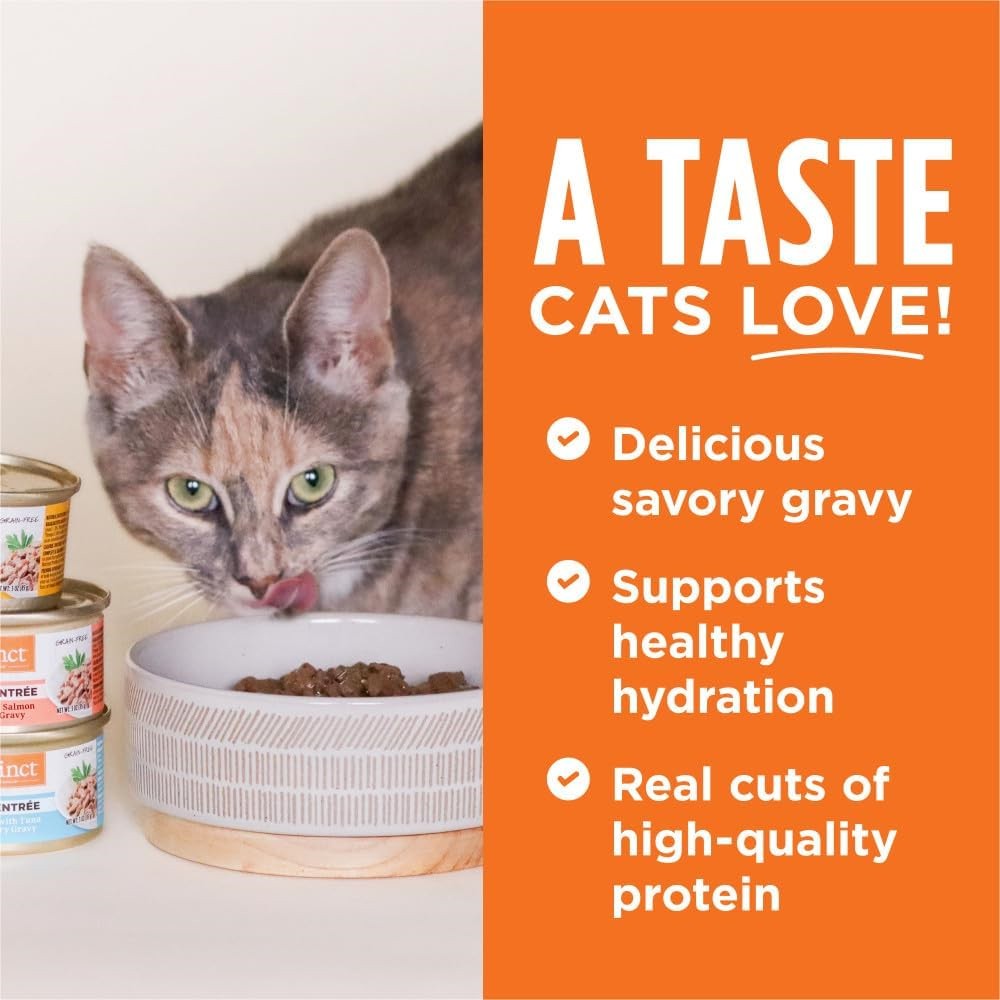 All Life Stages Grain-Free Flaked Lamb Entree Cat Can - Image 4