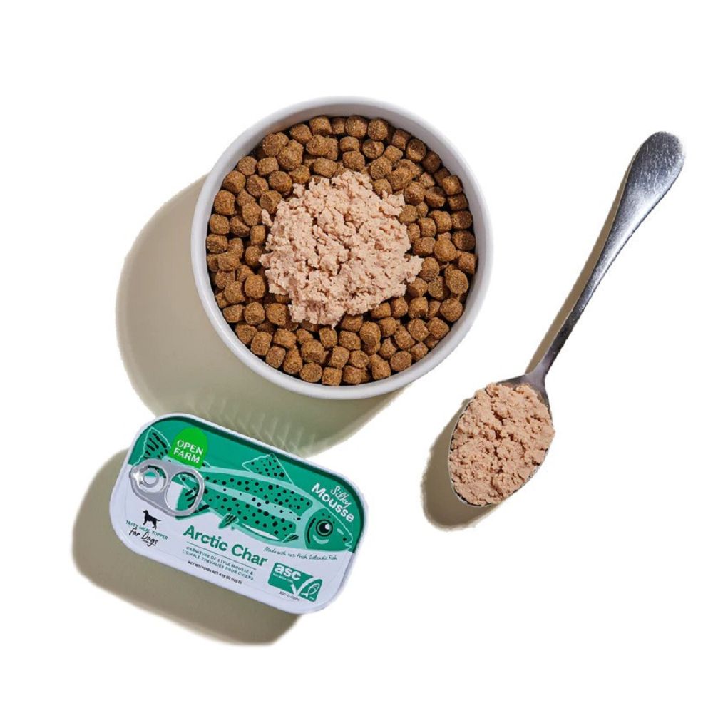 Silky Mousse Arctic Char Tasty Meal Topper for Dogs - Image 2