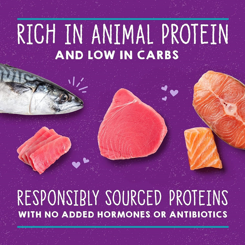 Carnivore Cravings Adult Salmon, Tuna & Mackerel 100% Complete Balance Diet Recipe Wet Cat Can - Image 3