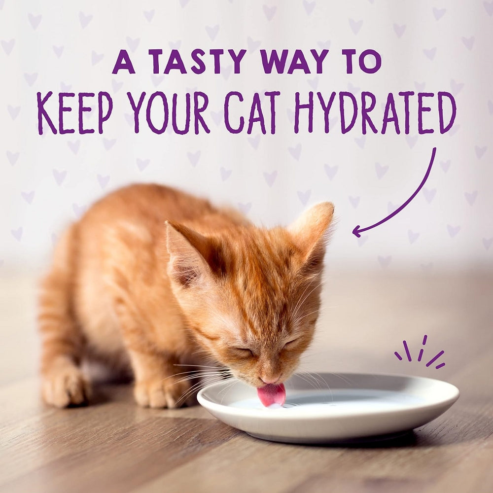 Carnivore Cravings Kitten Chicken & Salmon 100% Complete Balance Diet Recipe Wet Cat Can - Image 9