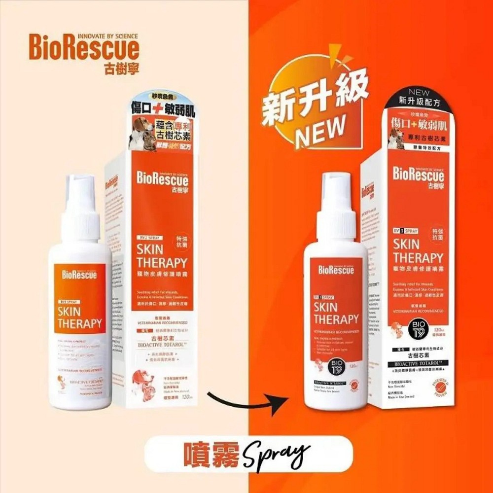 Skin Therapy for Dogs & Cats - Image 5