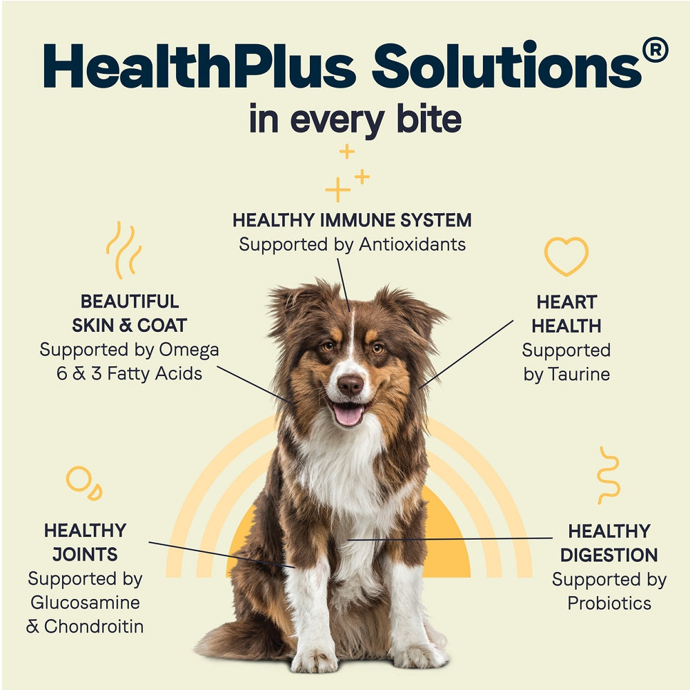 All Life Stages - Multi-Protein Formula Chicken, Turkey and Lamb Dog Dry Food - Image 5