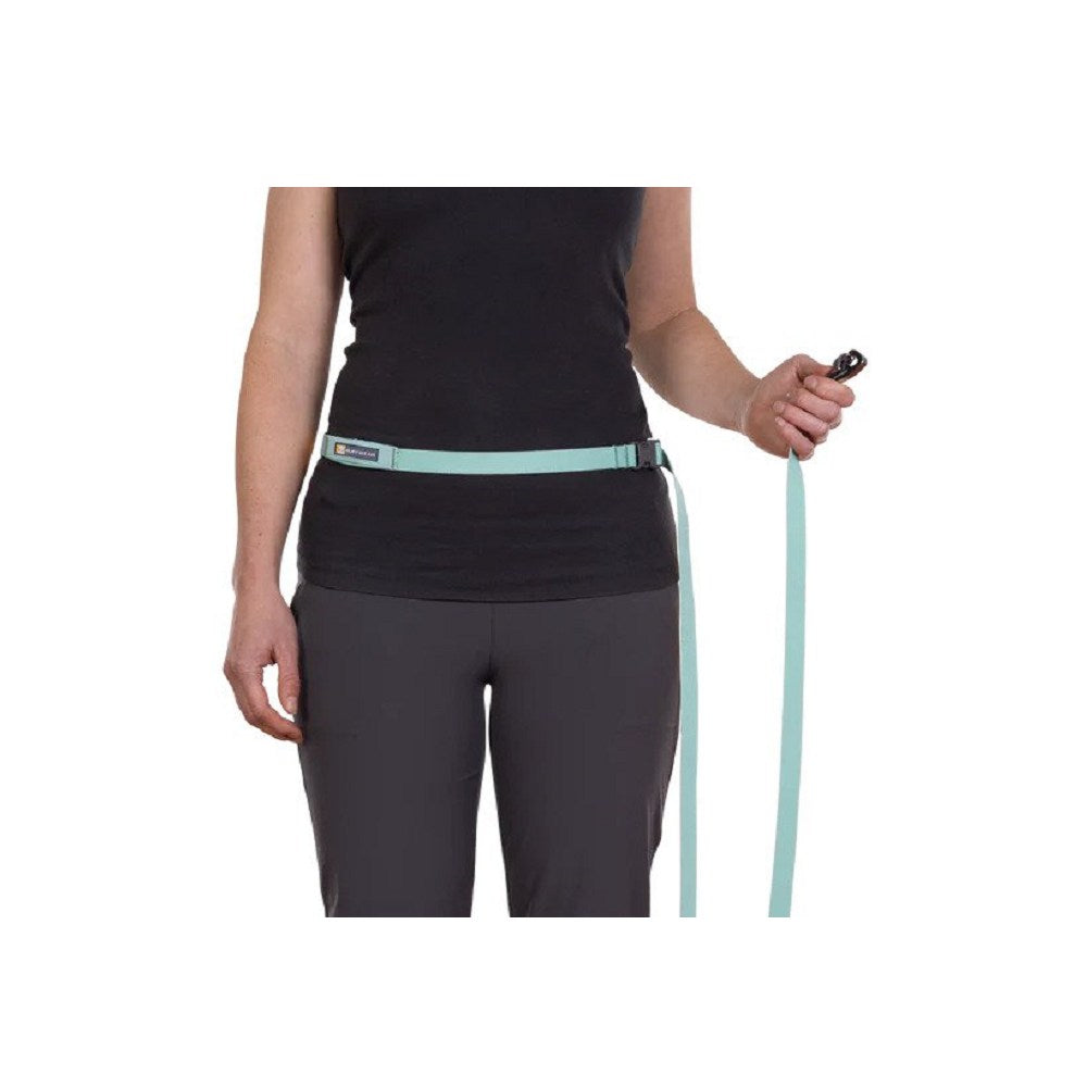 Flagline Dog Leash - Image 8
