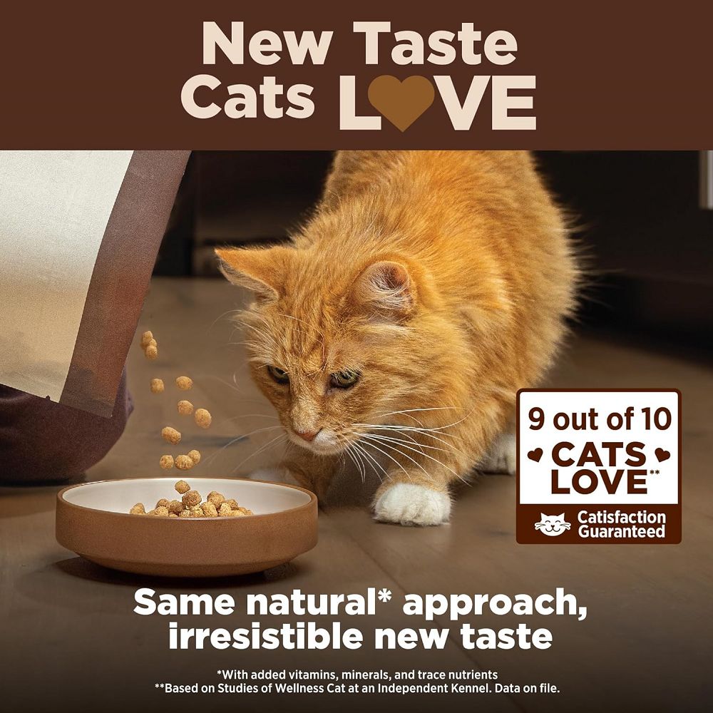 CORE Indoor Salmon & Herring Adult Cat Dry Food - Image 6