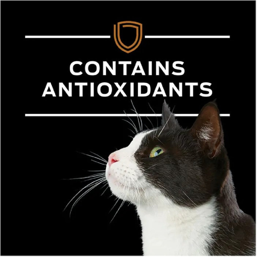 Pro Plan Veterinary Diets - Advanced Care - NF Kidney Function Cat Can - Image 7