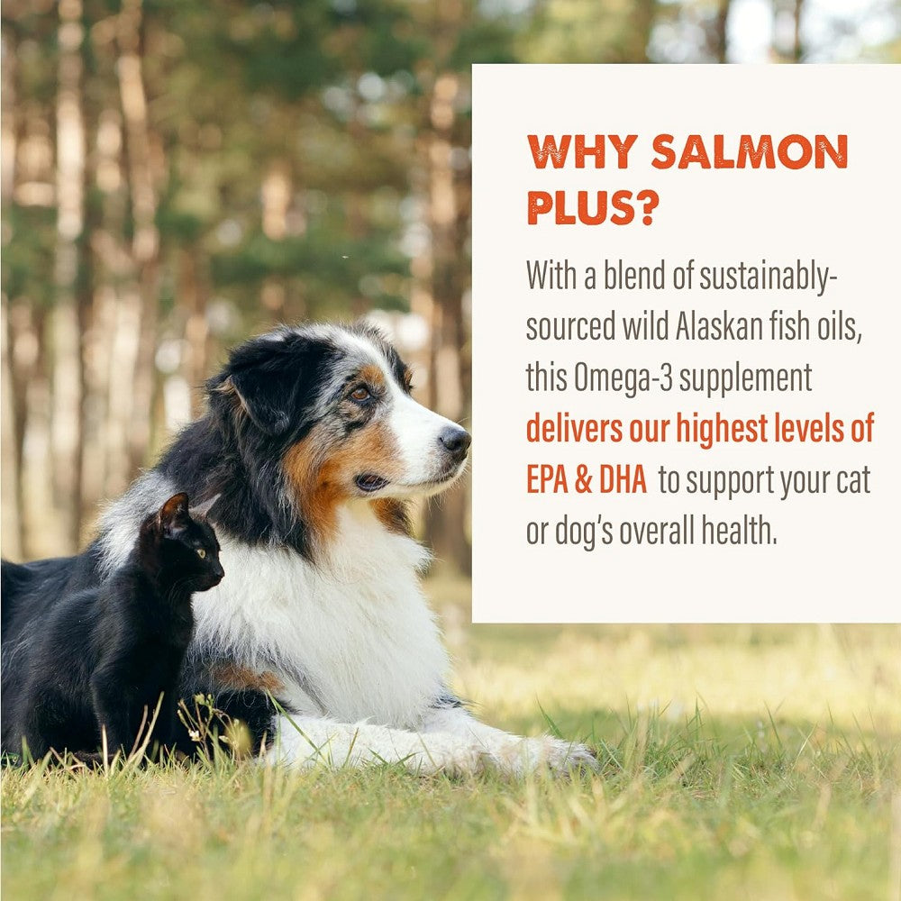 Salmon Oil Food Supplement for Dogs & Cats - Image 7