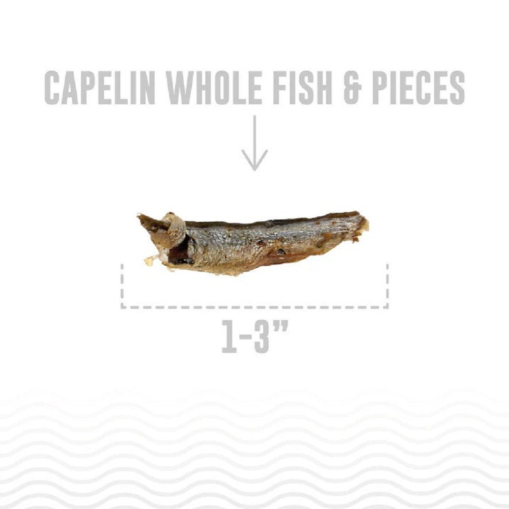 Capelin Whole Fish Dog Treats - Image 2