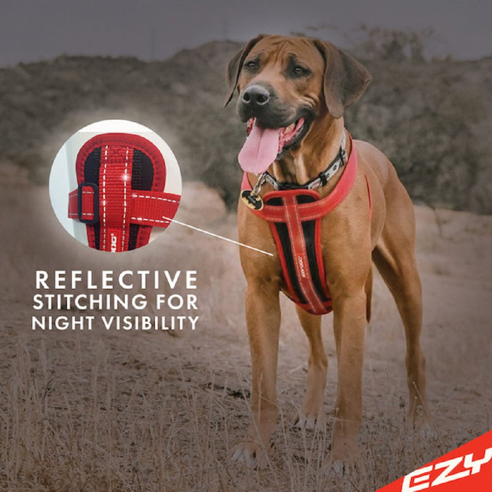 Chestplate Dog Harness - Image 7