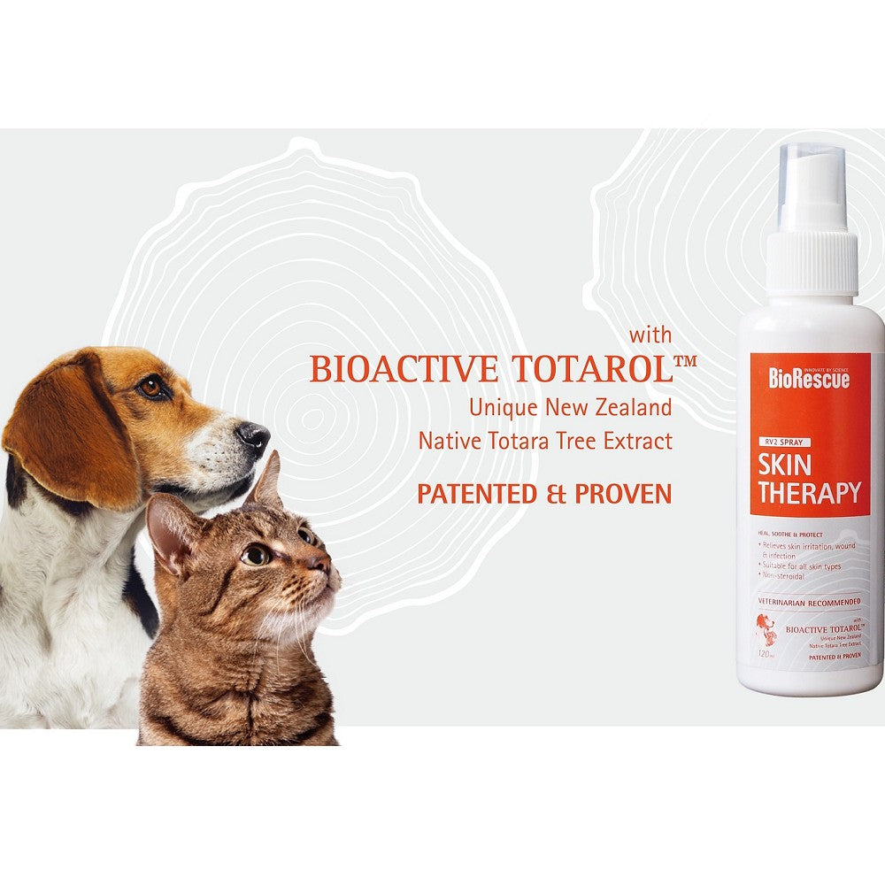 Skin Therapy for Dogs & Cats - Image 4