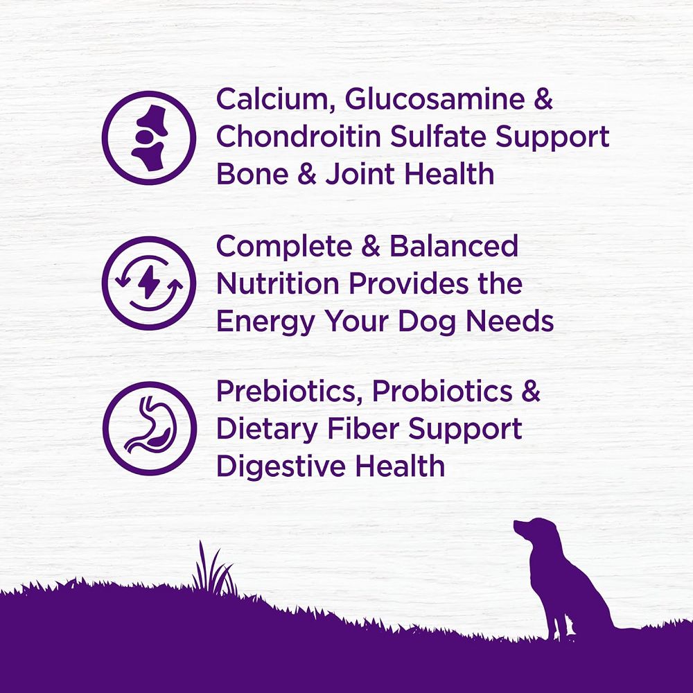 Complete Health Chicken Senior Dog Dry Food - Image 5