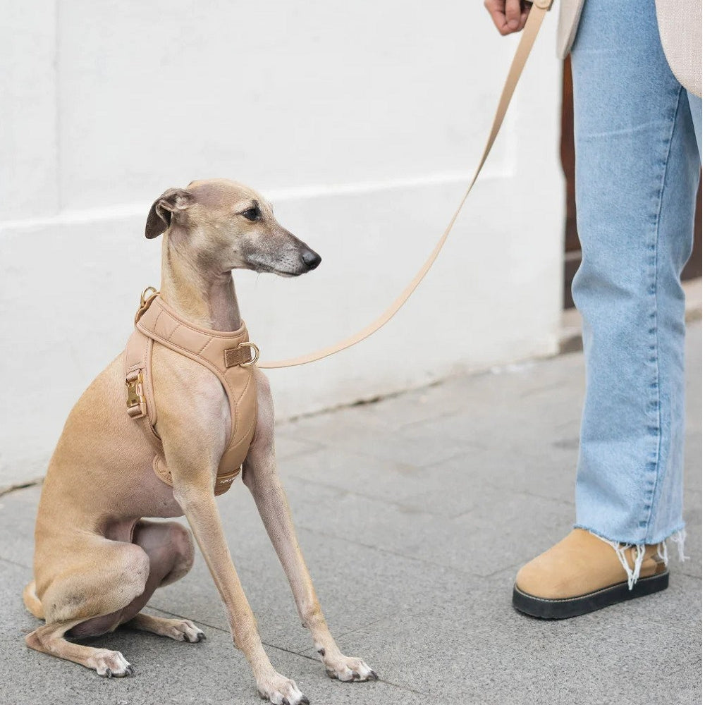 Roam Multi-Way Leash LITE - Image 8