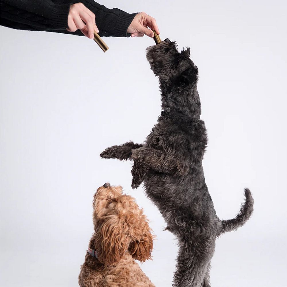 Bell & Bone - Lamb with Mint & Manuka Honey Dog Dental Treats - Image 6