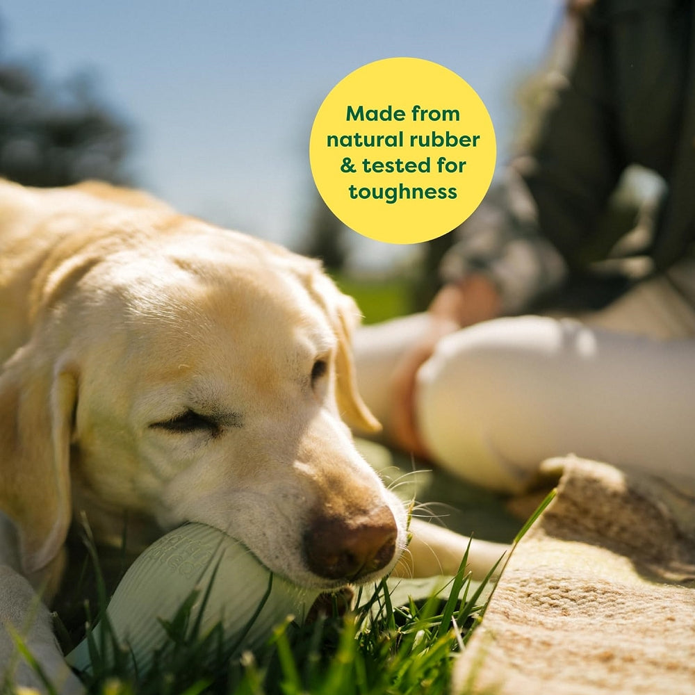 Natural Rubber Dog Treat Toy - Image 7