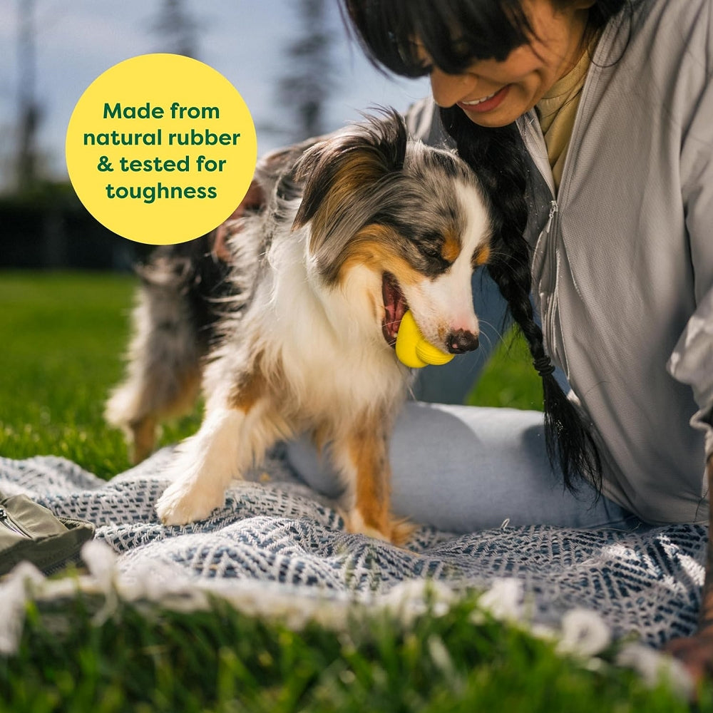 Natural Rubber Dog Fetch Toy - Image 7