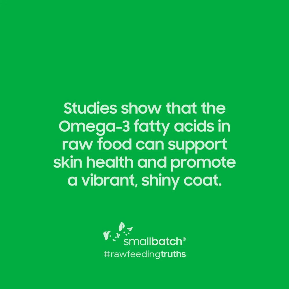 Freeze Dried Humanely Raised Beef Dog Food - Image 8