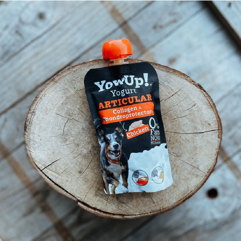 Yogurt Articular for Dogs - Image 2