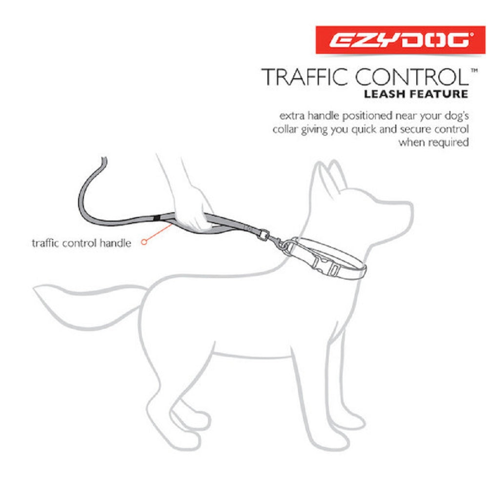 Road Runner Dog Leash - Image 12