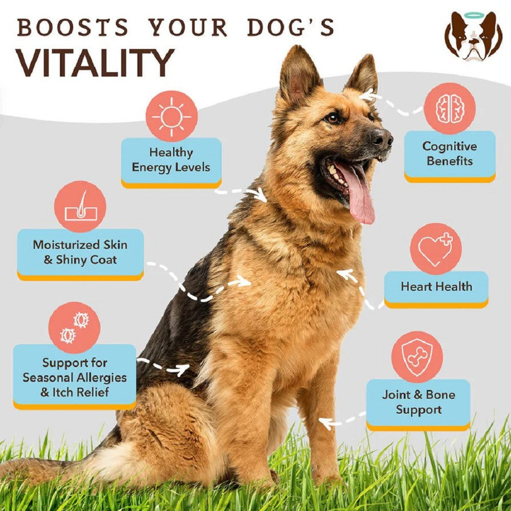 Wild Alaskan Fish Oil Food Supplement for Dogs - Image 3