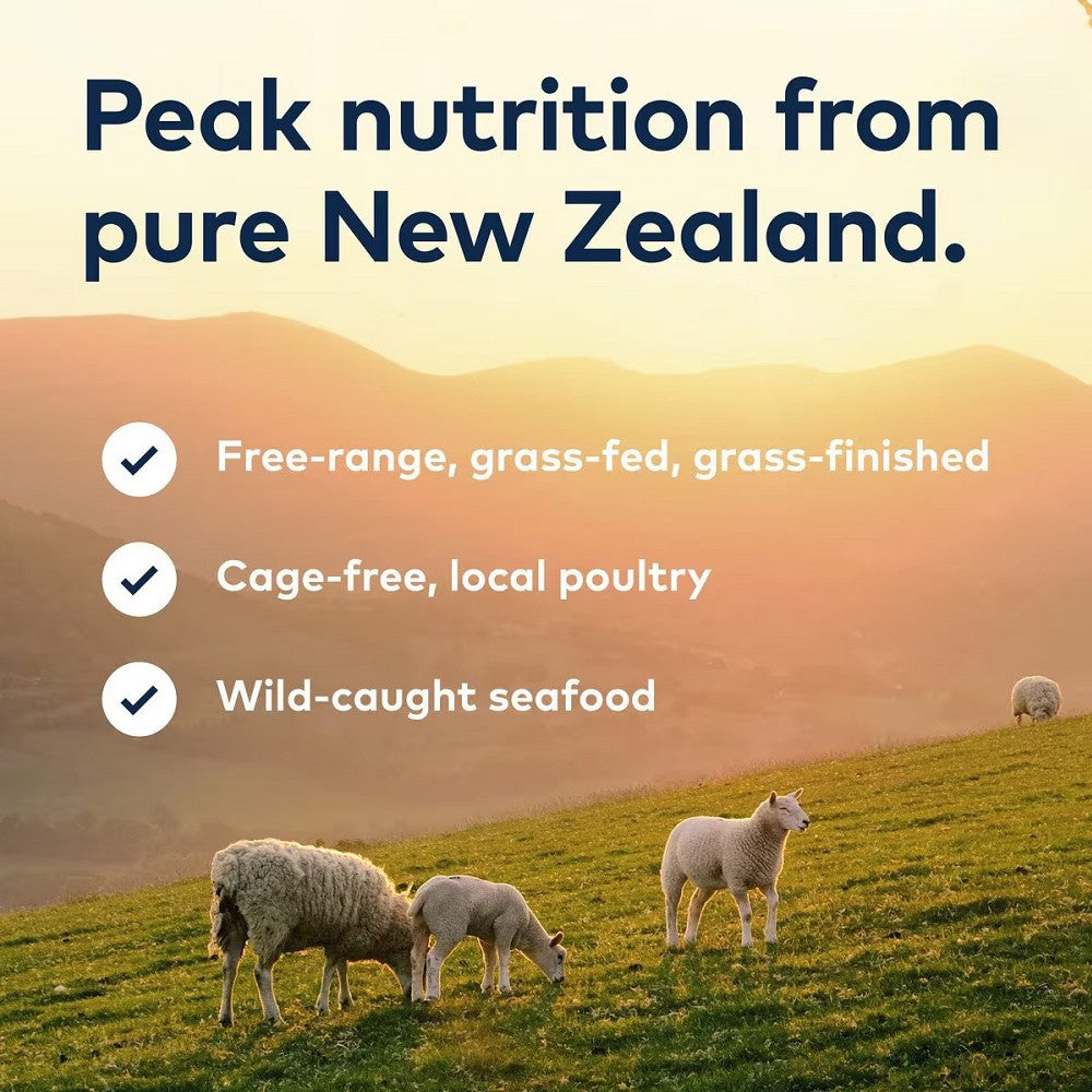 Steam & Dried - Grass-Fed Beef With Pumpkin Dog Food - Image 5