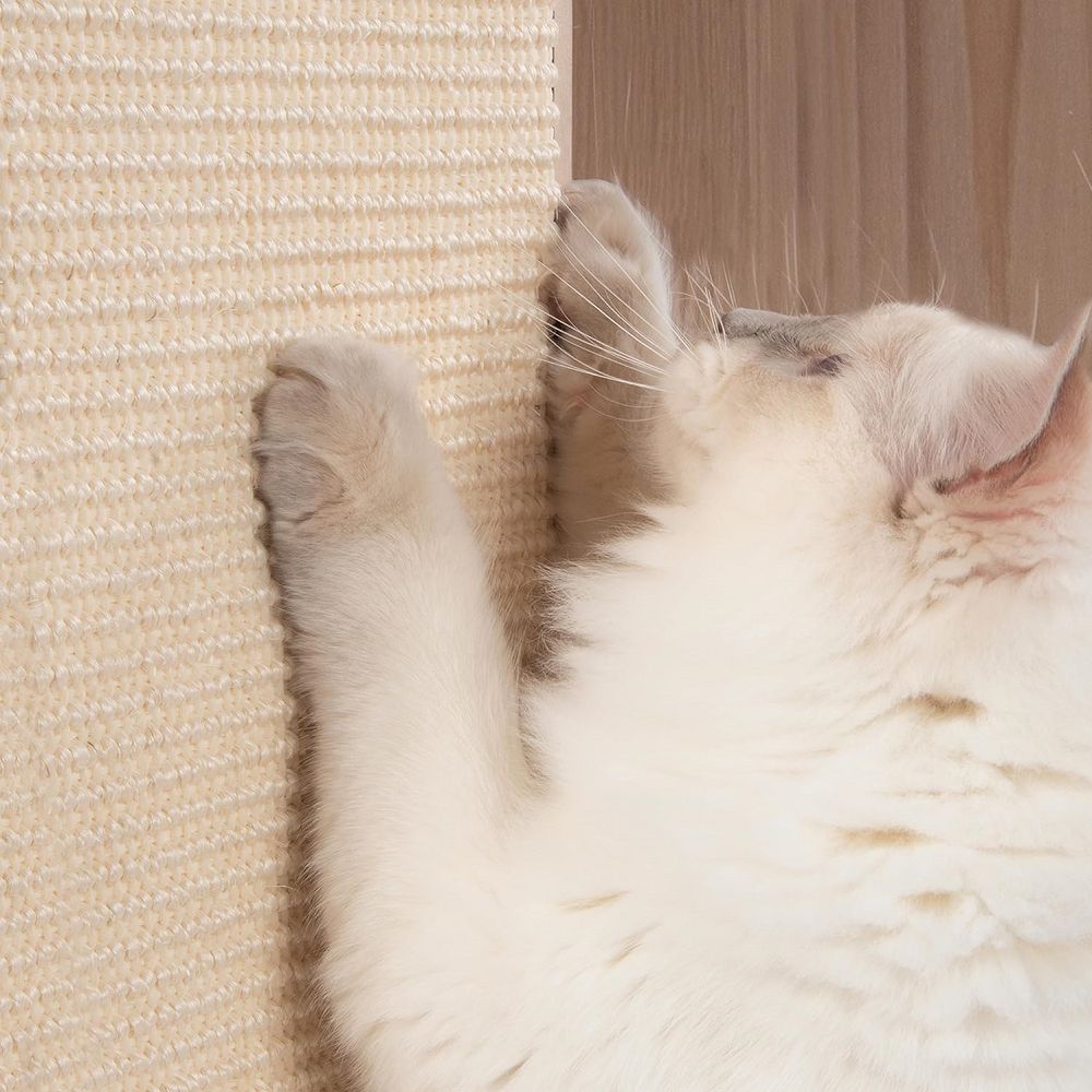 Patio Cat Scratching Tree - Image 5