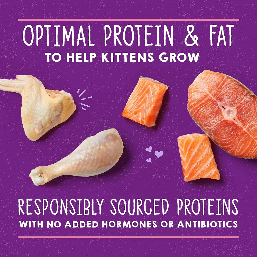 Carnivore Cravings Kitten Chicken & Salmon 100% Complete Balance Diet Recipe Wet Cat Can - Image 5