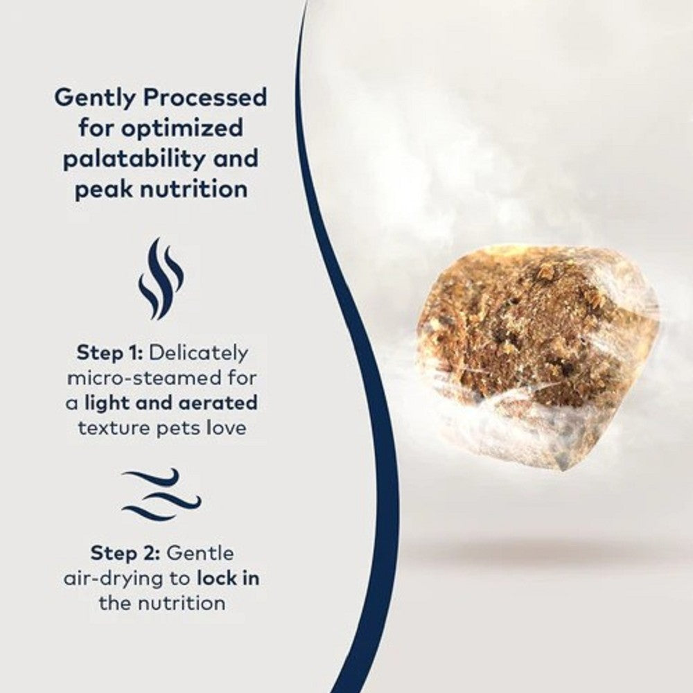 Steam & Dried - Cage-Free Chicken With Orchard Fruits Dog Food - Image 6