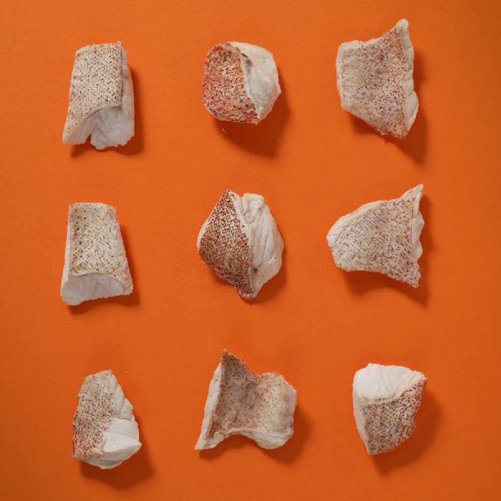 Freeze Dried Red Grouper Treats for Dogs and Cats - Image 4