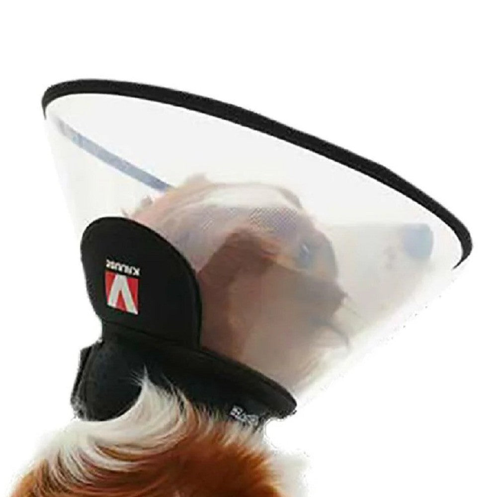 Complete Dog Collar - Image 3